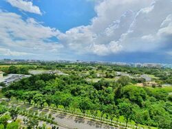 Ivory Heights (D22), Condominium #576687931
